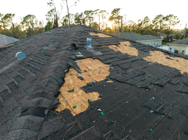 Steel Roofing in Lockport, LA